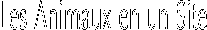 Les Animaux en un Site